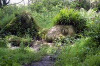 Heligan 